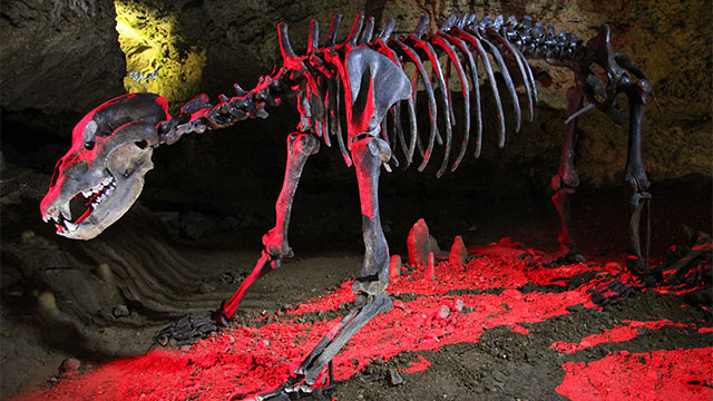 Teufelshöhle Pottenstein